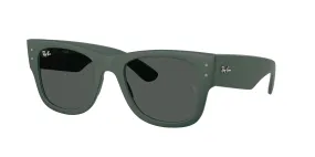   Ray - Ban RB4840S  665787